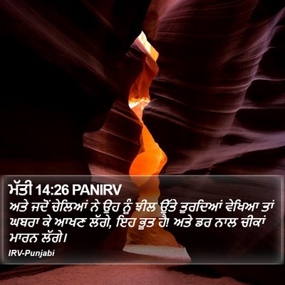 ਮੱਤੀ 14:26 PANIRV Bible Verse Image