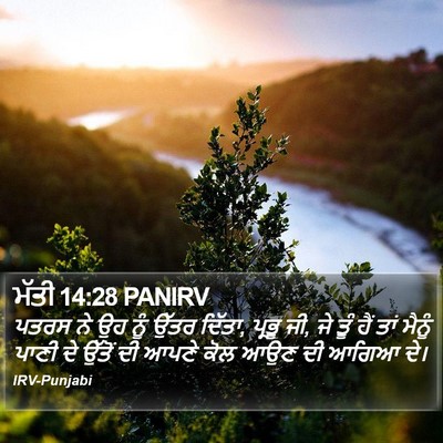 ਮੱਤੀ 14:28 PANIRV Bible Verse Image