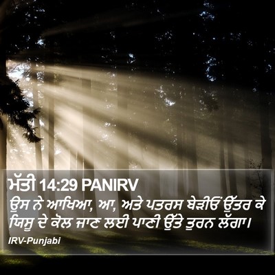ਮੱਤੀ 14:29 PANIRV Bible Verse Image