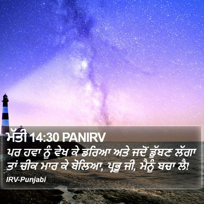 ਮੱਤੀ 14:30 PANIRV Bible Verse Image