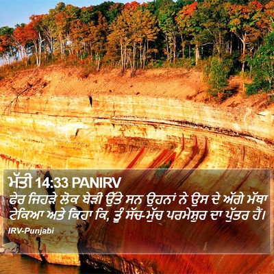 ਮੱਤੀ 14:33 PANIRV Bible Verse Image
