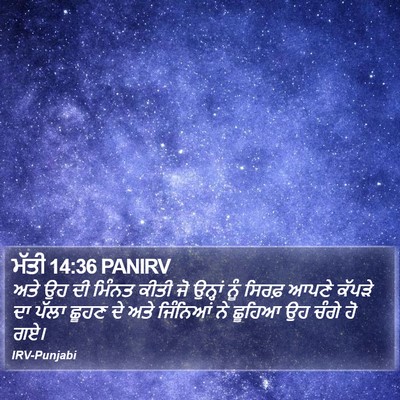 ਮੱਤੀ 14:36 PANIRV Bible Verse Image
