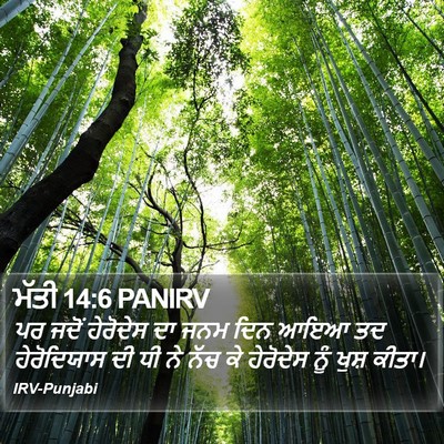 ਮੱਤੀ 14:6 PANIRV Bible Verse Image