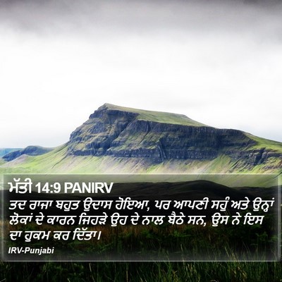 ਮੱਤੀ 14:9 PANIRV Bible Verse Image