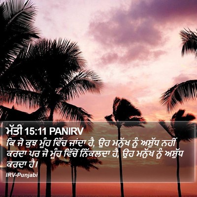 ਮੱਤੀ 15:11 PANIRV Bible Verse Image