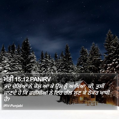 ਮੱਤੀ 15:12 PANIRV Bible Verse Image