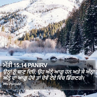 ਮੱਤੀ 15:14 PANIRV Bible Verse Image