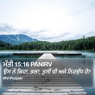ਮੱਤੀ 15:16 PANIRV Bible Verse Image