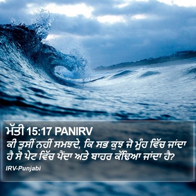 ਮੱਤੀ 15:17 PANIRV Bible Verse Image