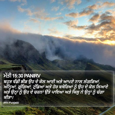 ਮੱਤੀ 15:30 PANIRV Bible Verse Image