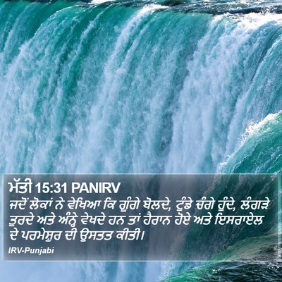 ਮੱਤੀ 15:31 PANIRV Bible Verse Image