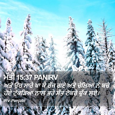 ਮੱਤੀ 15:37 PANIRV Bible Verse Image