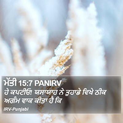 ਮੱਤੀ 15:7 PANIRV Bible Verse Image