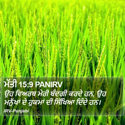ਮੱਤੀ 15:9 PANIRV Bible Verse Image