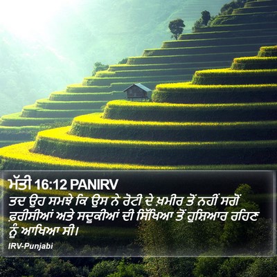 ਮੱਤੀ 16:12 PANIRV Bible Verse Image