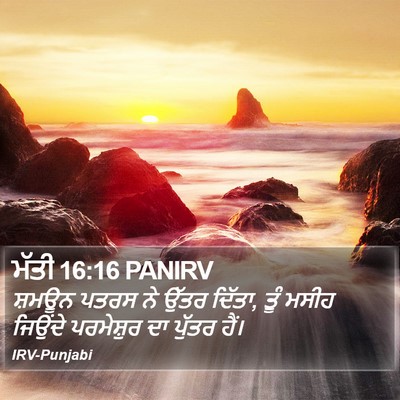 ਮੱਤੀ 16:16 PANIRV Bible Verse Image