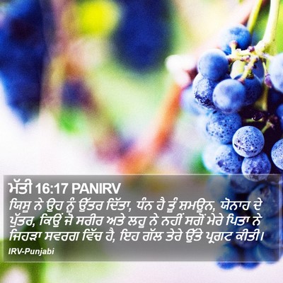 ਮੱਤੀ 16:17 PANIRV Bible Verse Image
