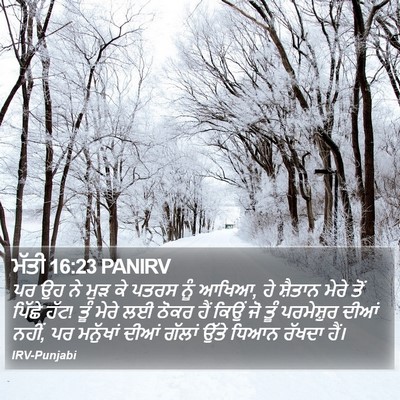 ਮੱਤੀ 16:23 PANIRV Bible Verse Image