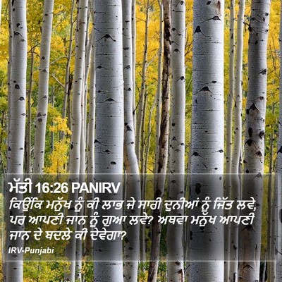 ਮੱਤੀ 16:26 PANIRV Bible Verse Image