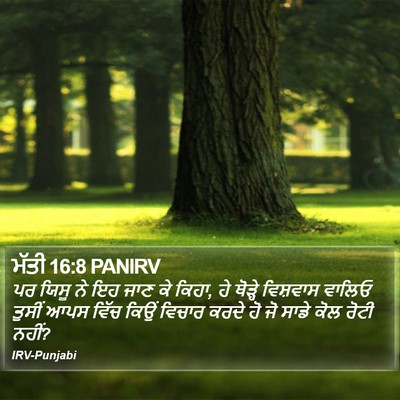 ਮੱਤੀ 16:8 PANIRV Bible Verse Image