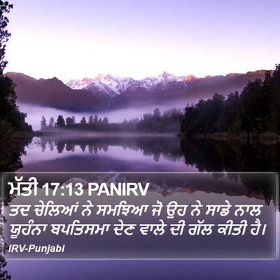 ਮੱਤੀ 17:13 PANIRV Bible Verse Image
