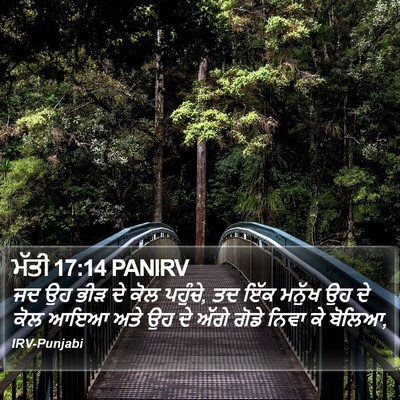 ਮੱਤੀ 17:14 PANIRV Bible Verse Image