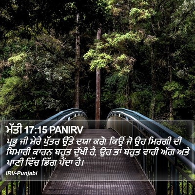 ਮੱਤੀ 17:15 PANIRV Bible Verse Image