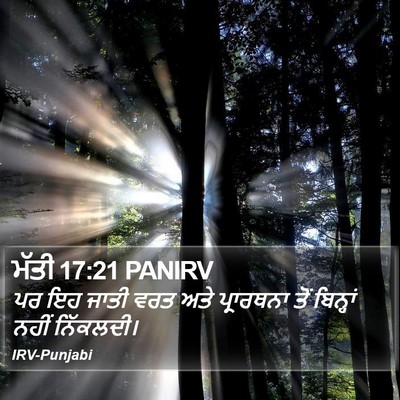 ਮੱਤੀ 17:21 PANIRV Bible Verse Image