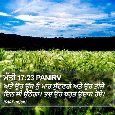 ਮੱਤੀ 17:23 PANIRV Bible Verse Image