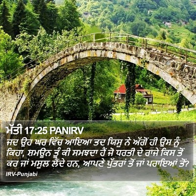 ਮੱਤੀ 17:25 PANIRV Bible Verse Image