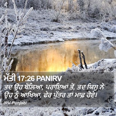 ਮੱਤੀ 17:26 PANIRV Bible Verse Image