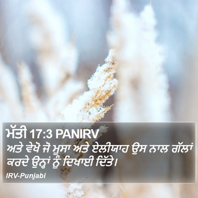 ਮੱਤੀ 17:3 PANIRV Bible Verse Image