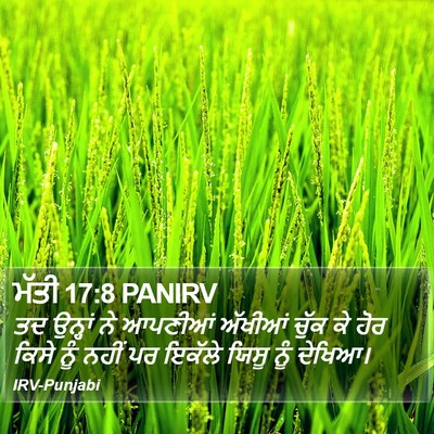 ਮੱਤੀ 17:8 PANIRV Bible Verse Image