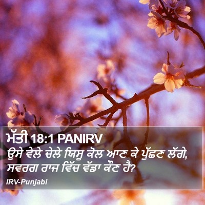 ਮੱਤੀ 18:1 PANIRV Bible Verse Image