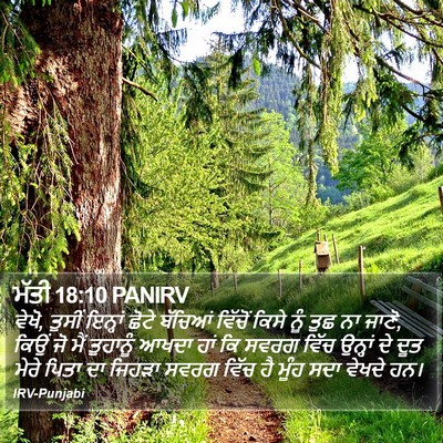 ਮੱਤੀ 18:10 PANIRV Bible Verse Image