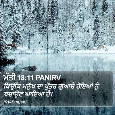 ਮੱਤੀ 18:11 PANIRV Bible Verse Image