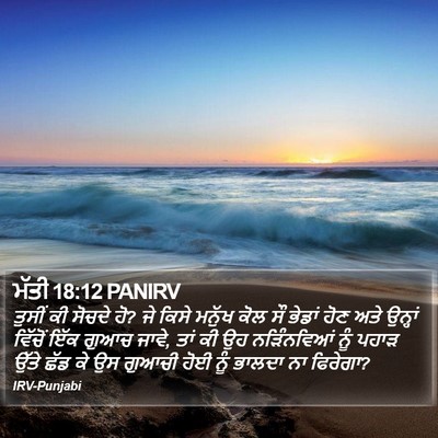 ਮੱਤੀ 18:12 PANIRV Bible Verse Image