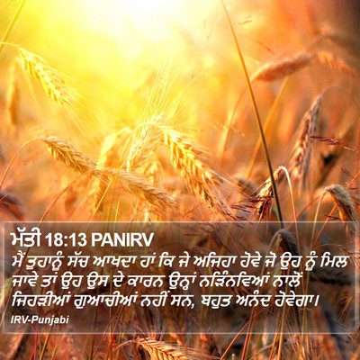 ਮੱਤੀ 18:13 PANIRV Bible Verse Image