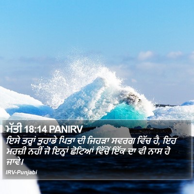 ਮੱਤੀ 18:14 PANIRV Bible Verse Image