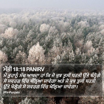 ਮੱਤੀ 18:18 PANIRV Bible Verse Image