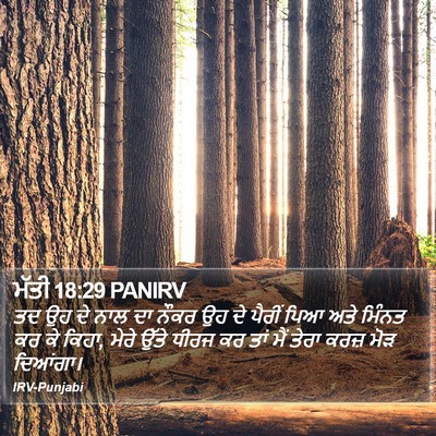 ਮੱਤੀ 18:29 PANIRV Bible Verse Image