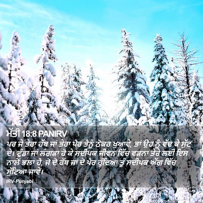 ਮੱਤੀ 18:8 PANIRV Bible Verse Image