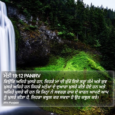 ਮੱਤੀ 19:12 PANIRV Bible Verse Image