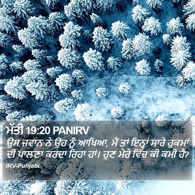 ਮੱਤੀ 19:20 PANIRV Bible Verse Image