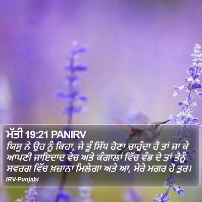 ਮੱਤੀ 19:21 PANIRV Bible Verse Image