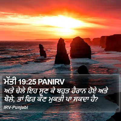 ਮੱਤੀ 19:25 PANIRV Bible Verse Image
