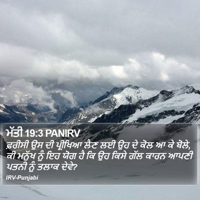 ਮੱਤੀ 19:3 PANIRV Bible Verse Image