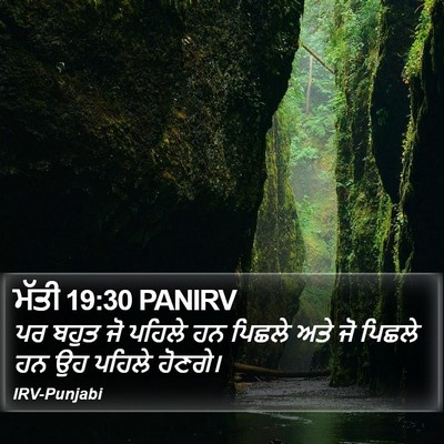 ਮੱਤੀ 19:30 PANIRV Bible Verse Image