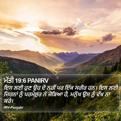 ਮੱਤੀ 19:6 PANIRV Bible Verse Image