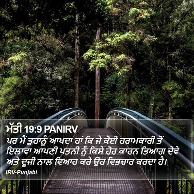 ਮੱਤੀ 19:9 PANIRV Bible Verse Image